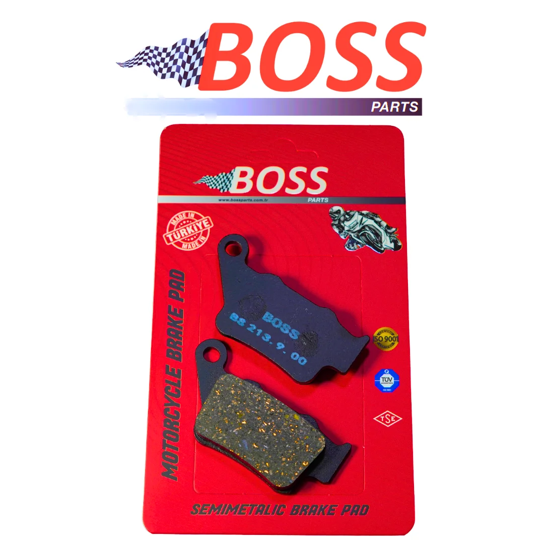 BS213